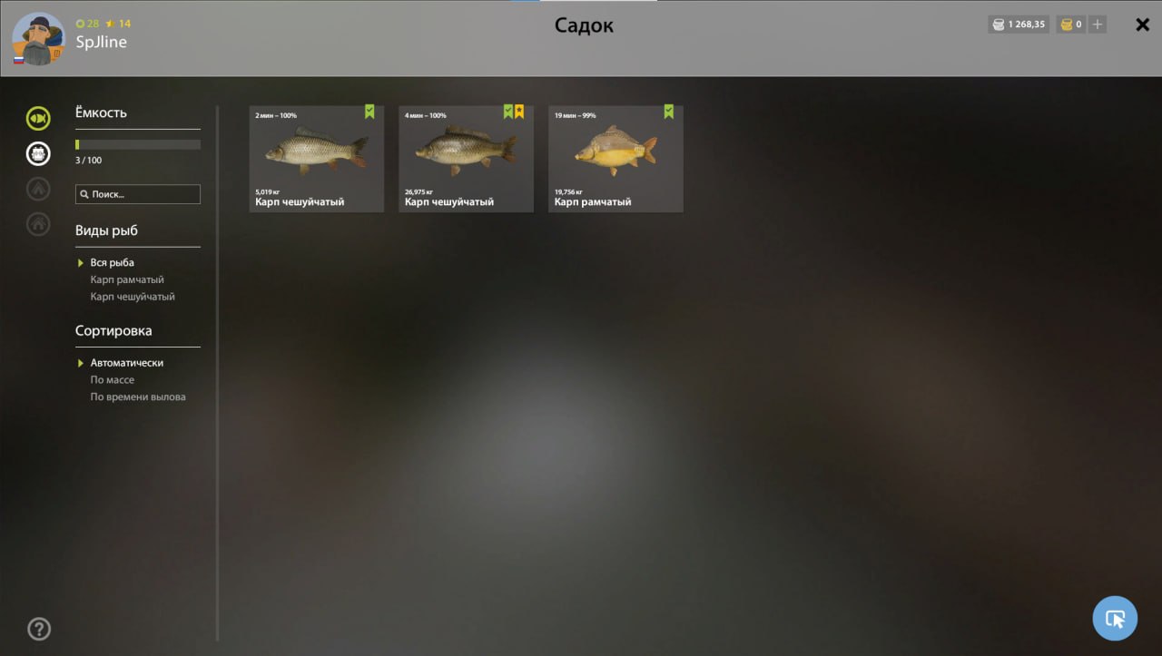 Keepnet — The Amber Lake