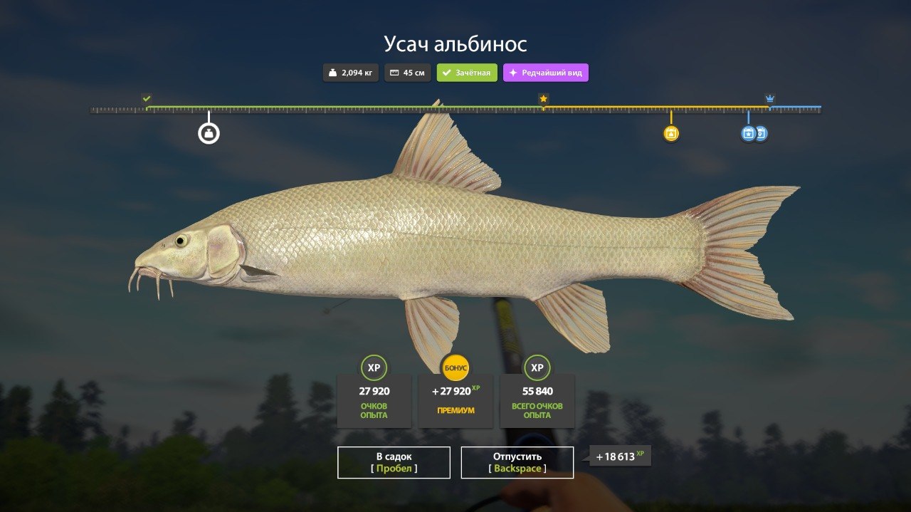 Разное — Озеро Медвежье