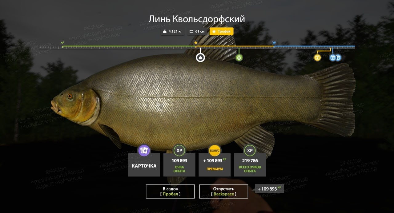 Озеро Медное — Трофей