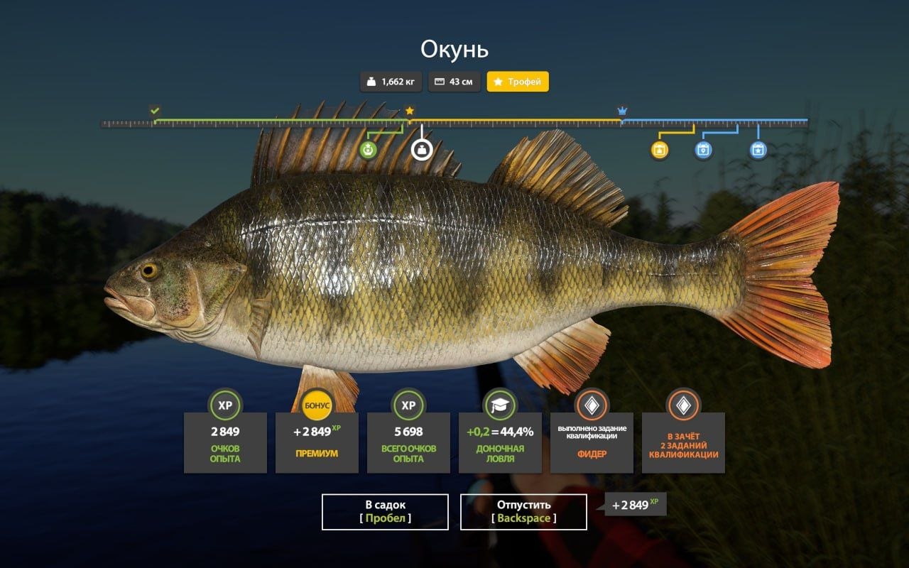 Mosquito Lake — Trophy