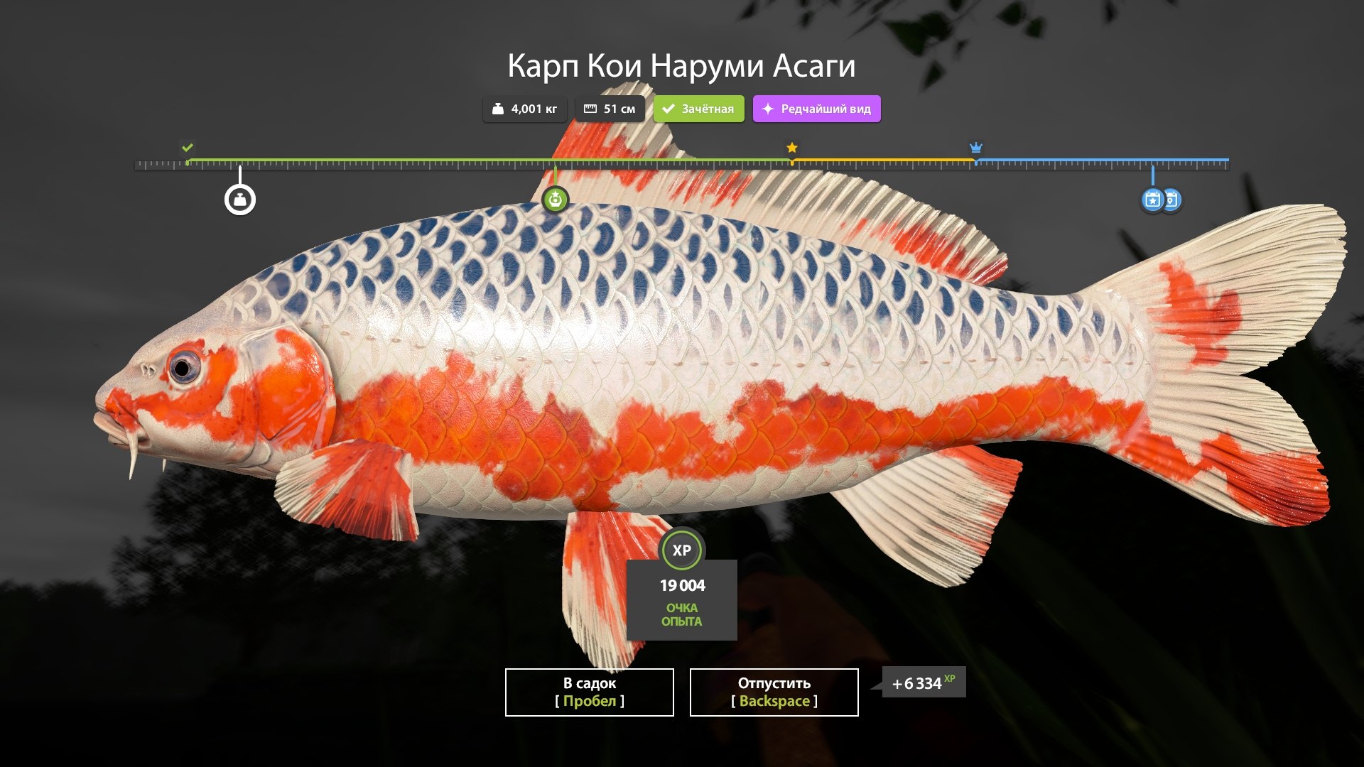Copper Lake — Miscellaneous