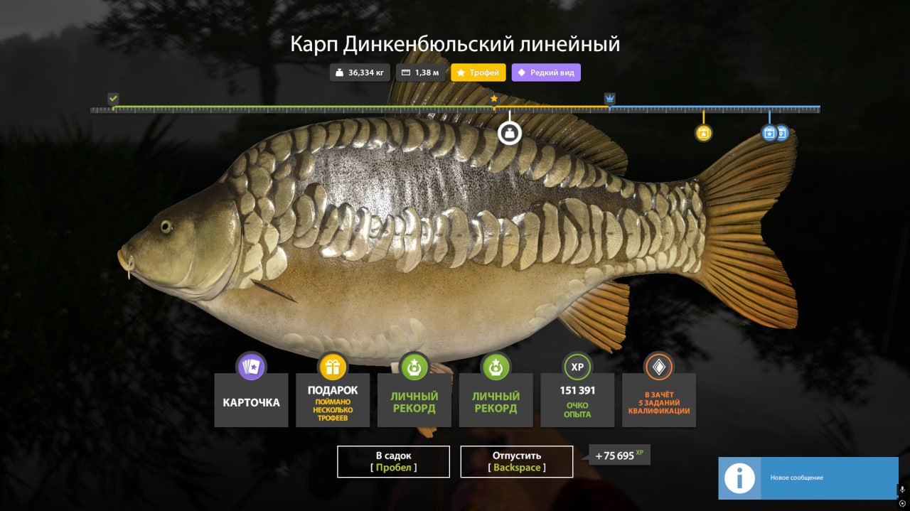 Trophy — Copper Lake