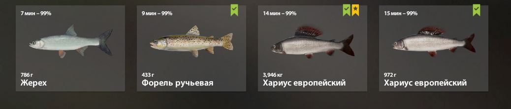 Река Белая