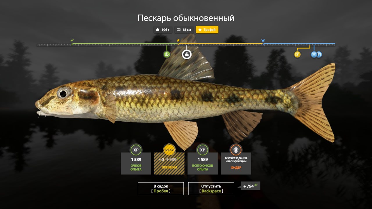 Trophy — Winding Rivulet