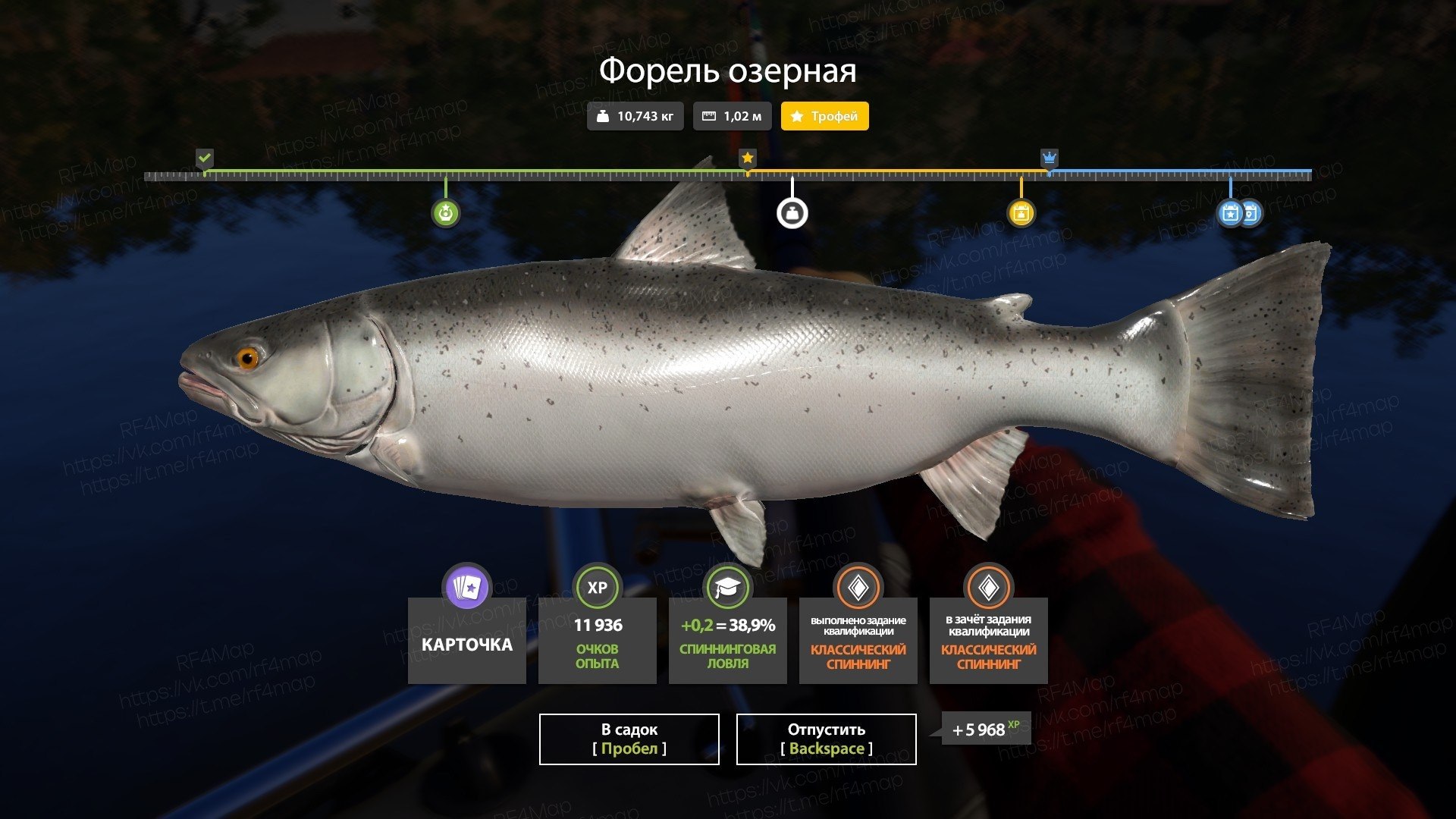Озеро Куори