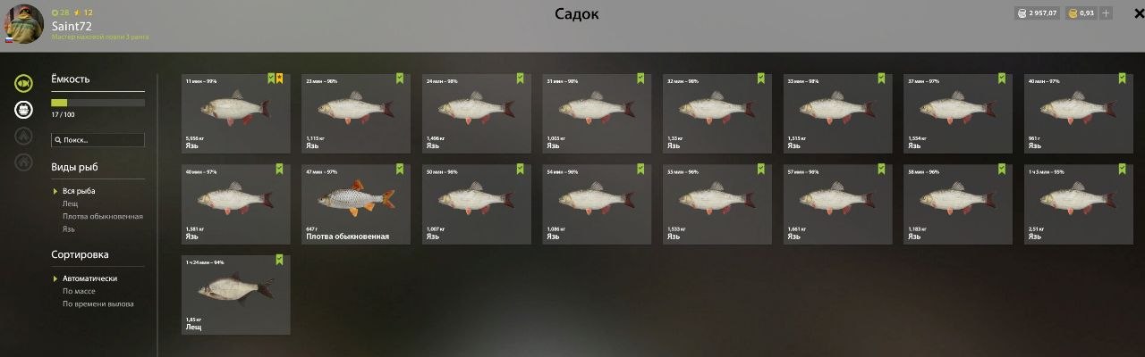 Озеро Комариное — Садок