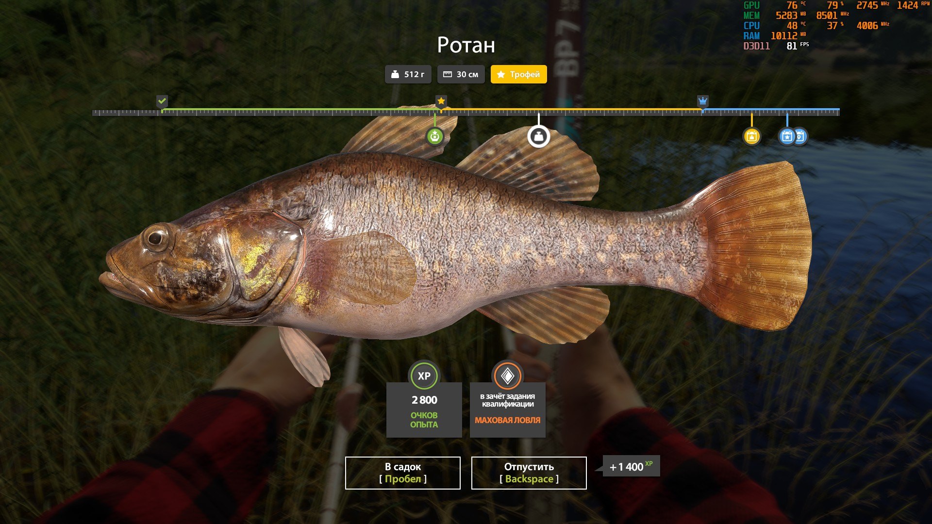 Trophy — Mosquito Lake