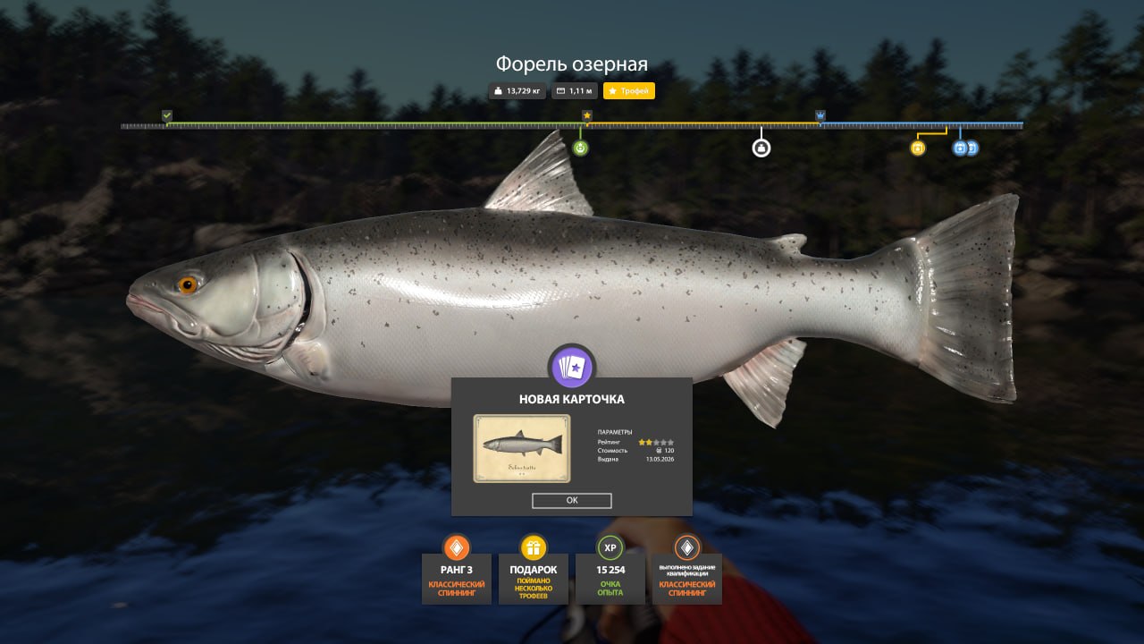 Kuori Lake — Trophy