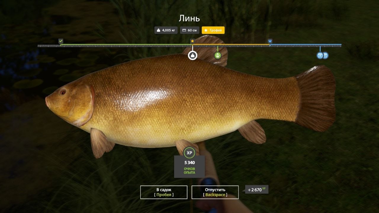 Trophy — Copper Lake