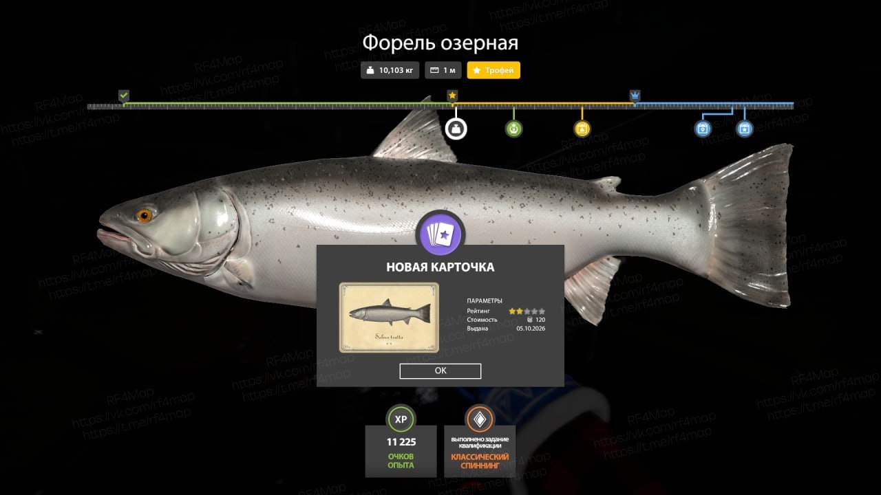 Ладожский архипелаг