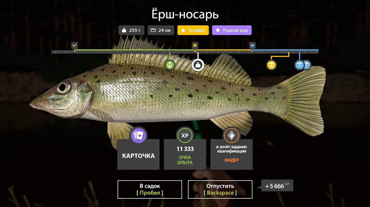 Winding Rivulet — Trophy