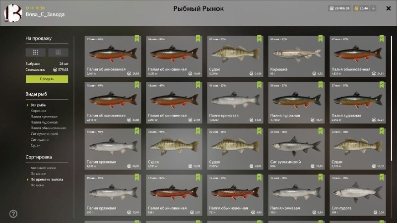 Садок — Ладожский архипелаг