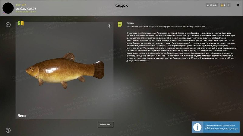 Copper Lake — Trophy