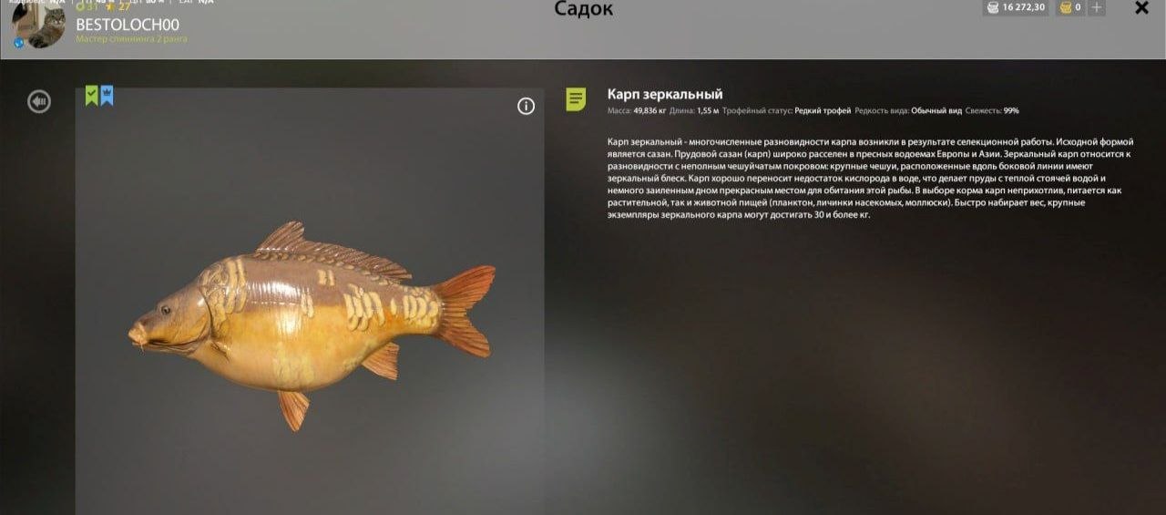 Трофей — Озеро Янтарное