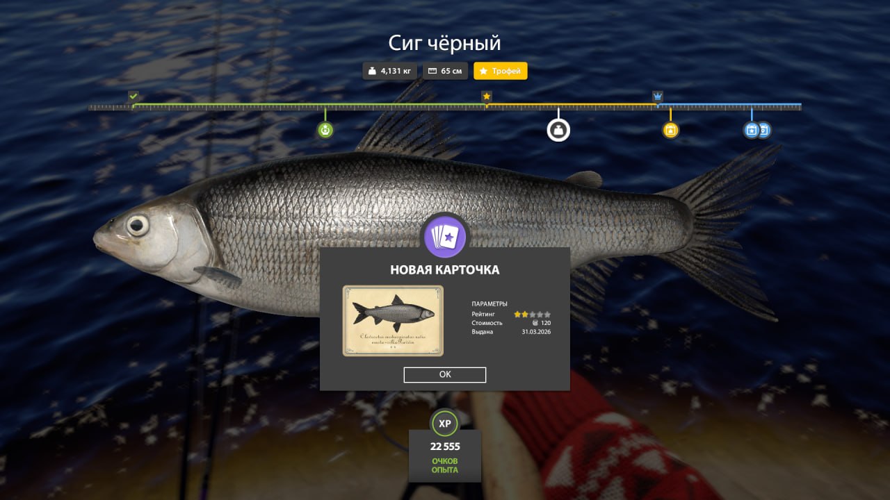 Трофей — Ладожский архипелаг