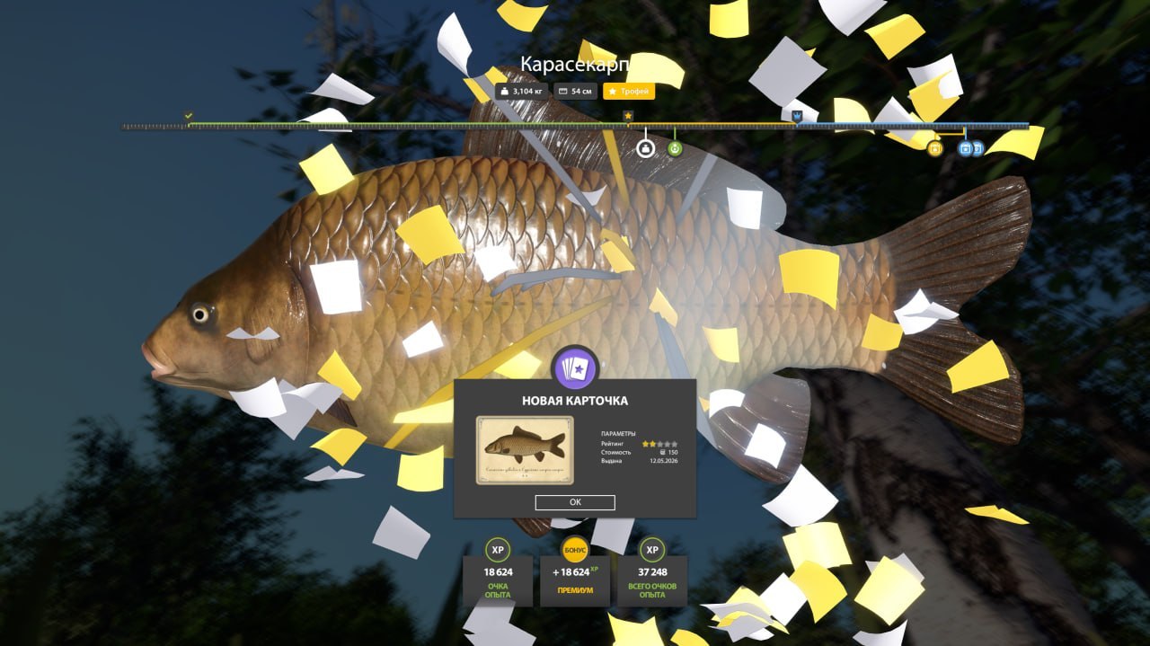 Copper Lake — Trophy
