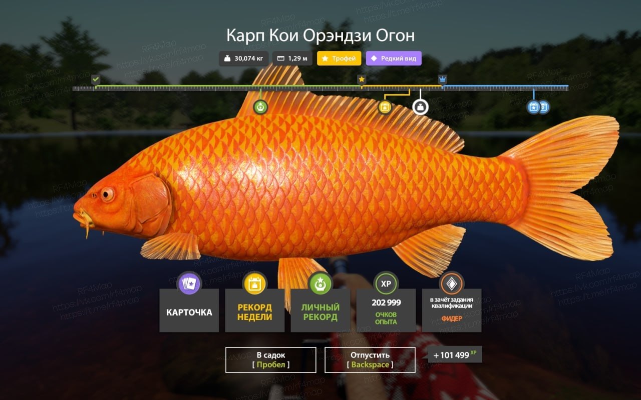Copper Lake — Trophy