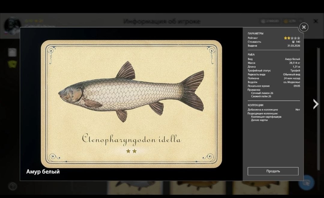 Разное — Озеро Медвежье