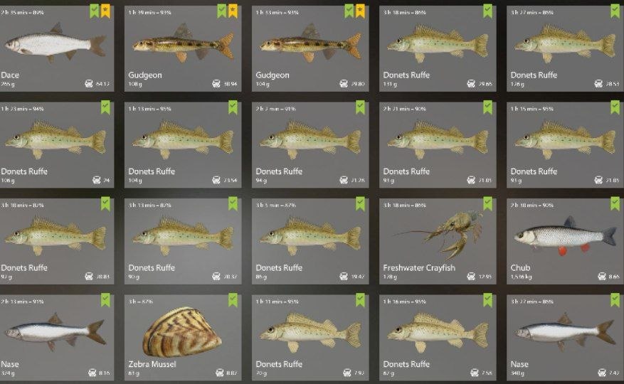 Река Вьюнок — Садок