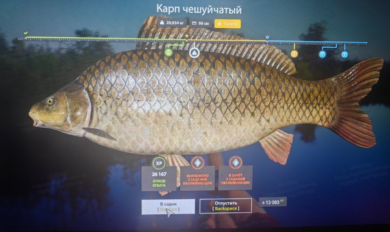 Озеро Медвежье — Трофей