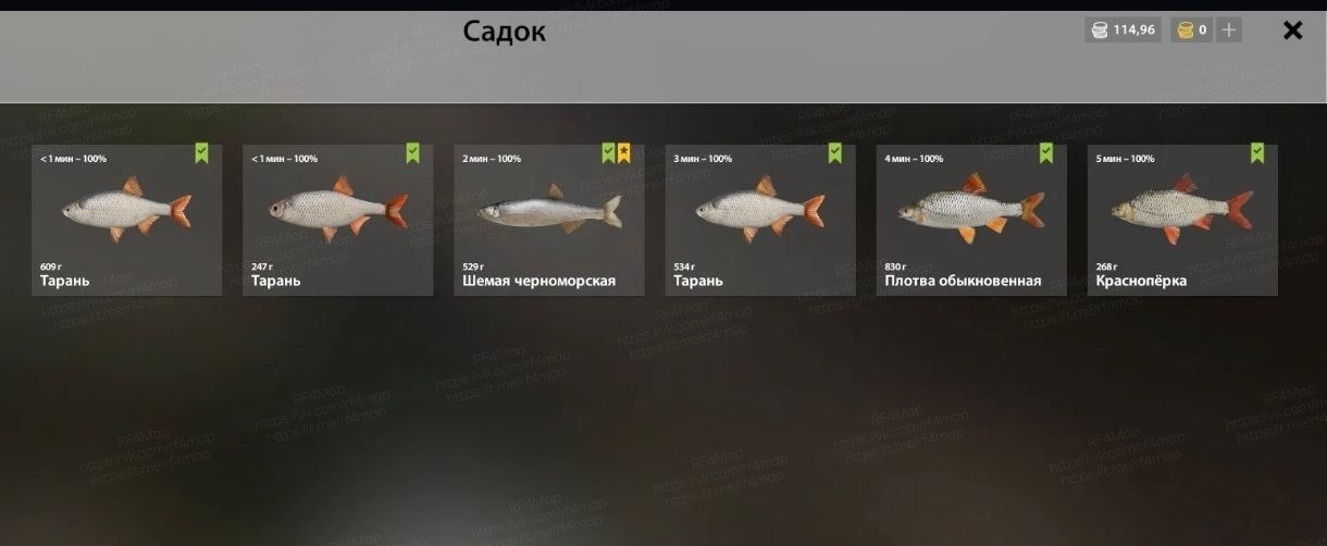 Река Северский Донец