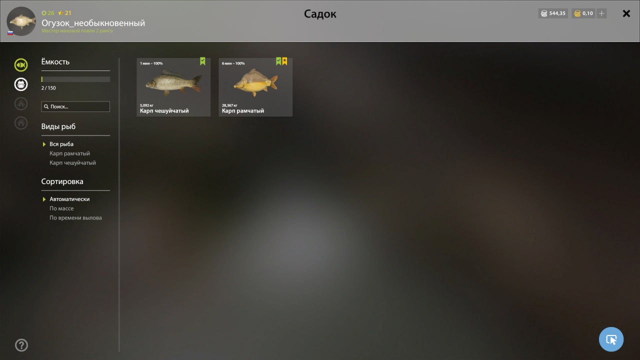 Keepnet — The Amber Lake