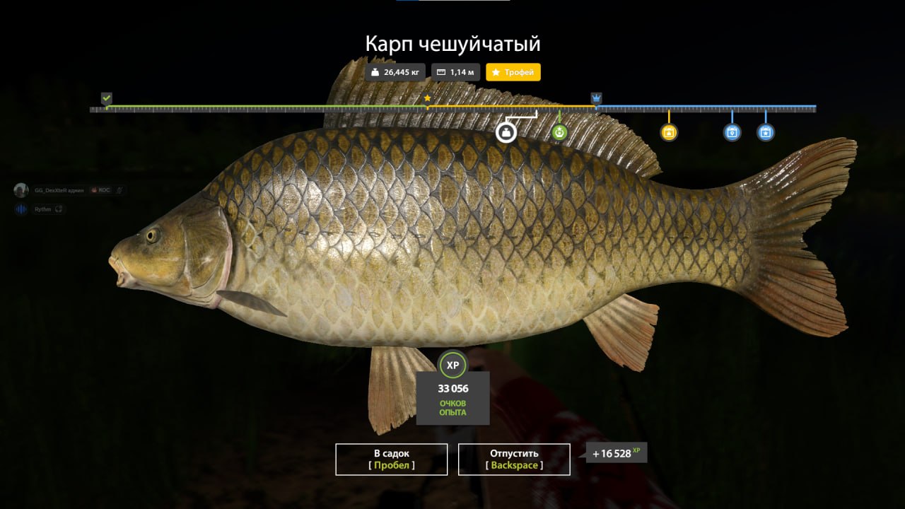 Trophy — Bear Lake