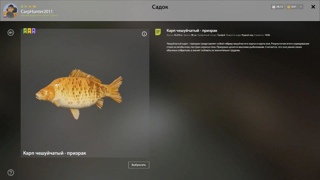 The Amber Lake — Trophy