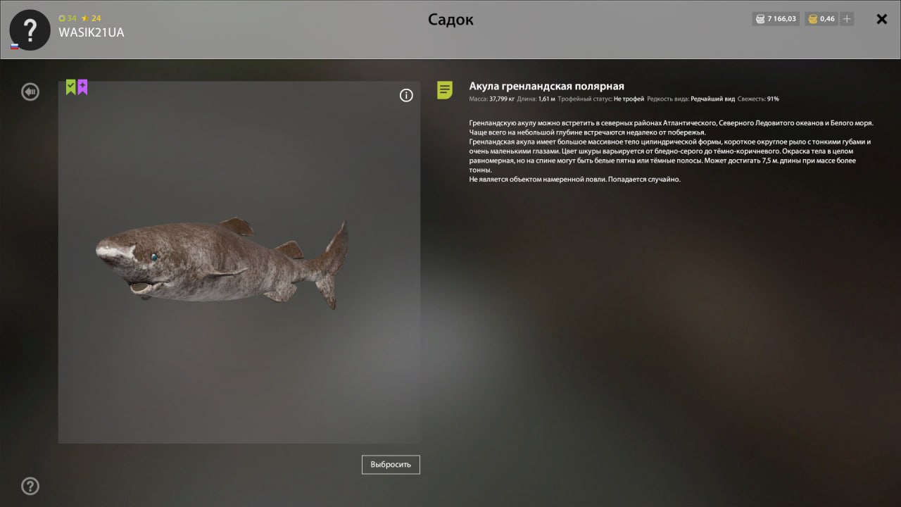 Норвежское море — Разное