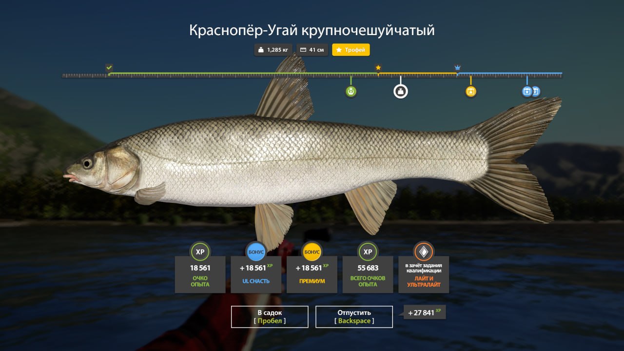 Трофей — Река Яма