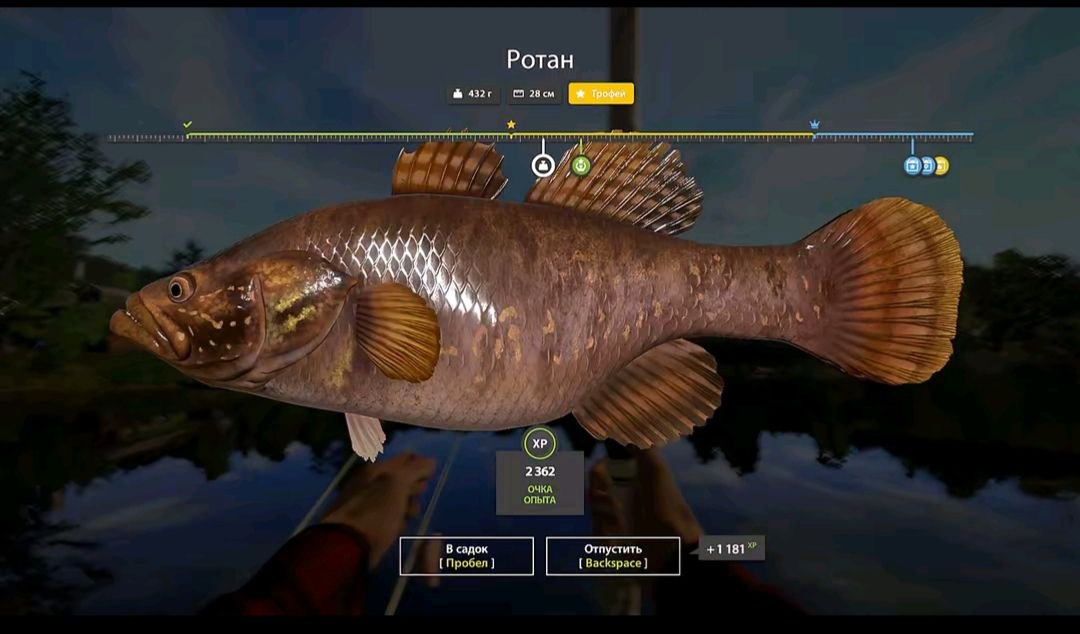 Mosquito Lake — Trophy