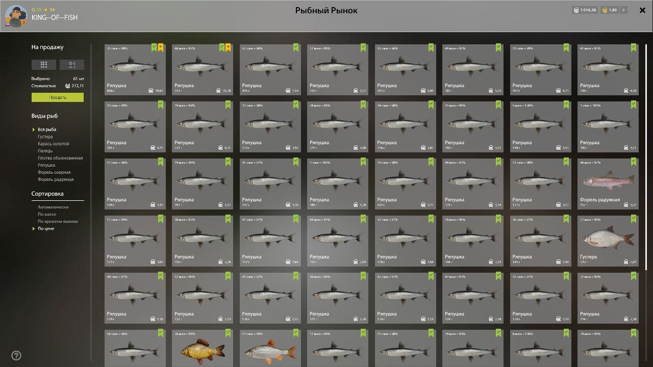 Keepnet — Kuori Lake