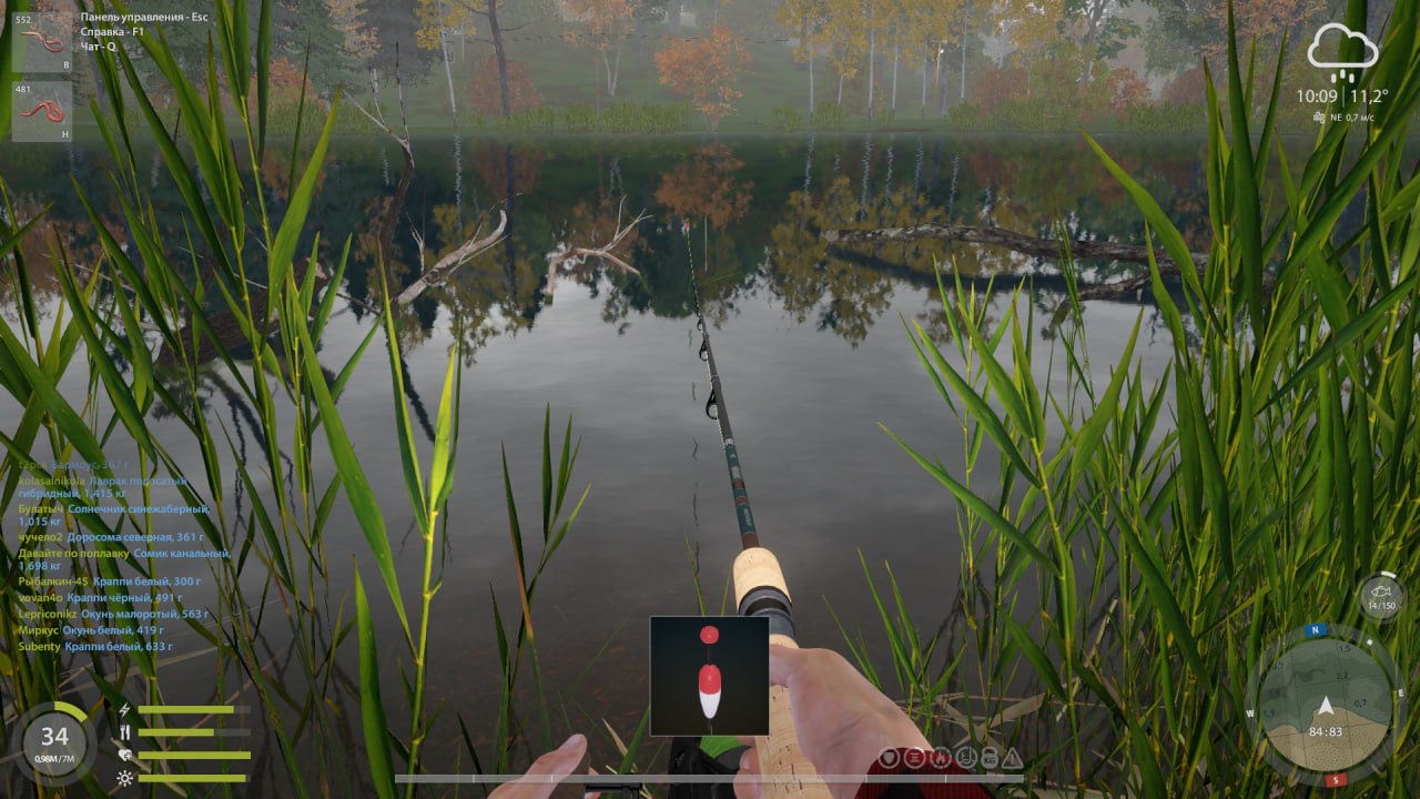 Elk Lake — Spot
