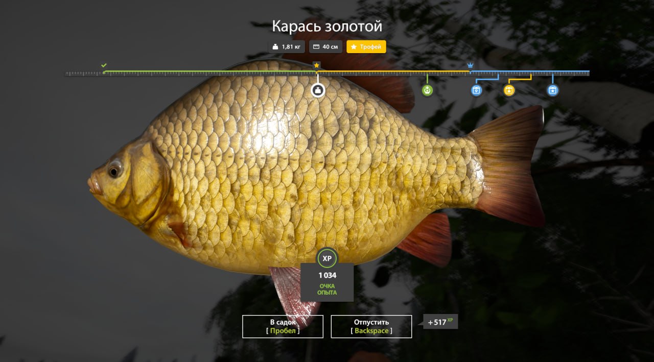 Trophy — Old Burg Lake