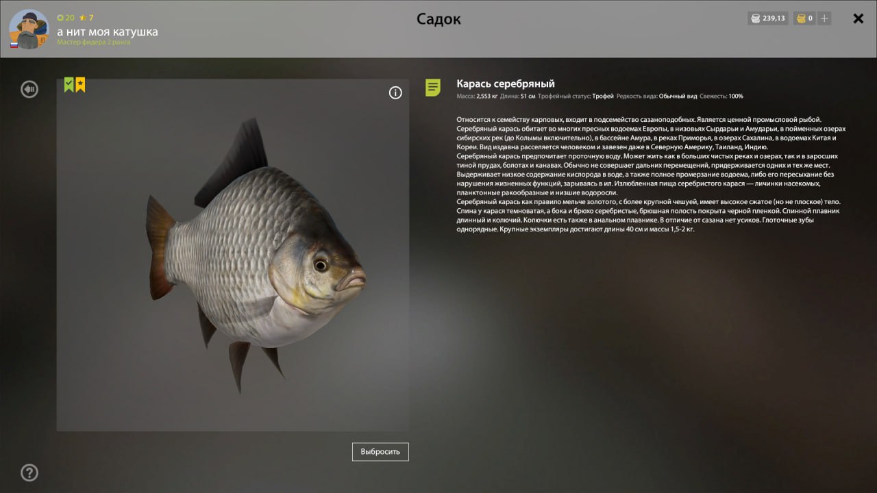 Mosquito Lake — Trophy