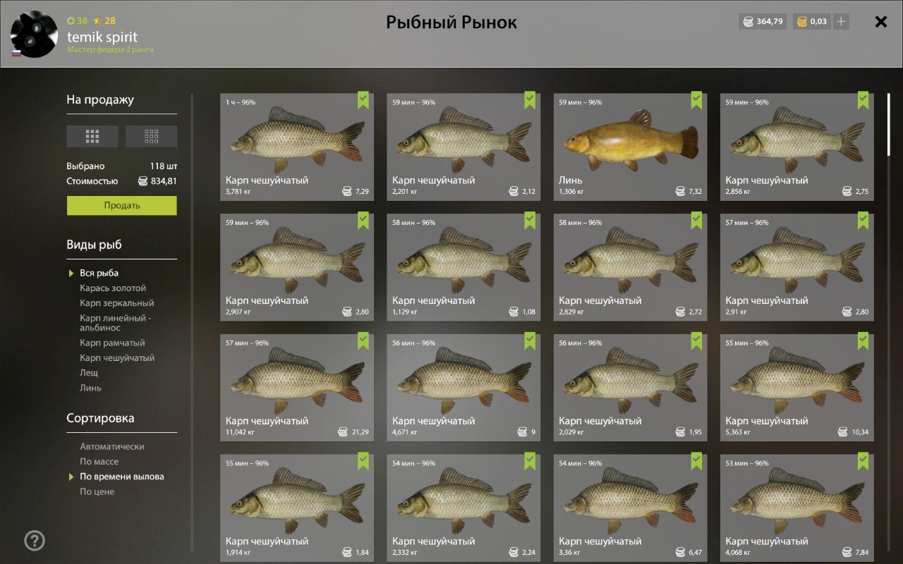 Keepnet — The Amber Lake