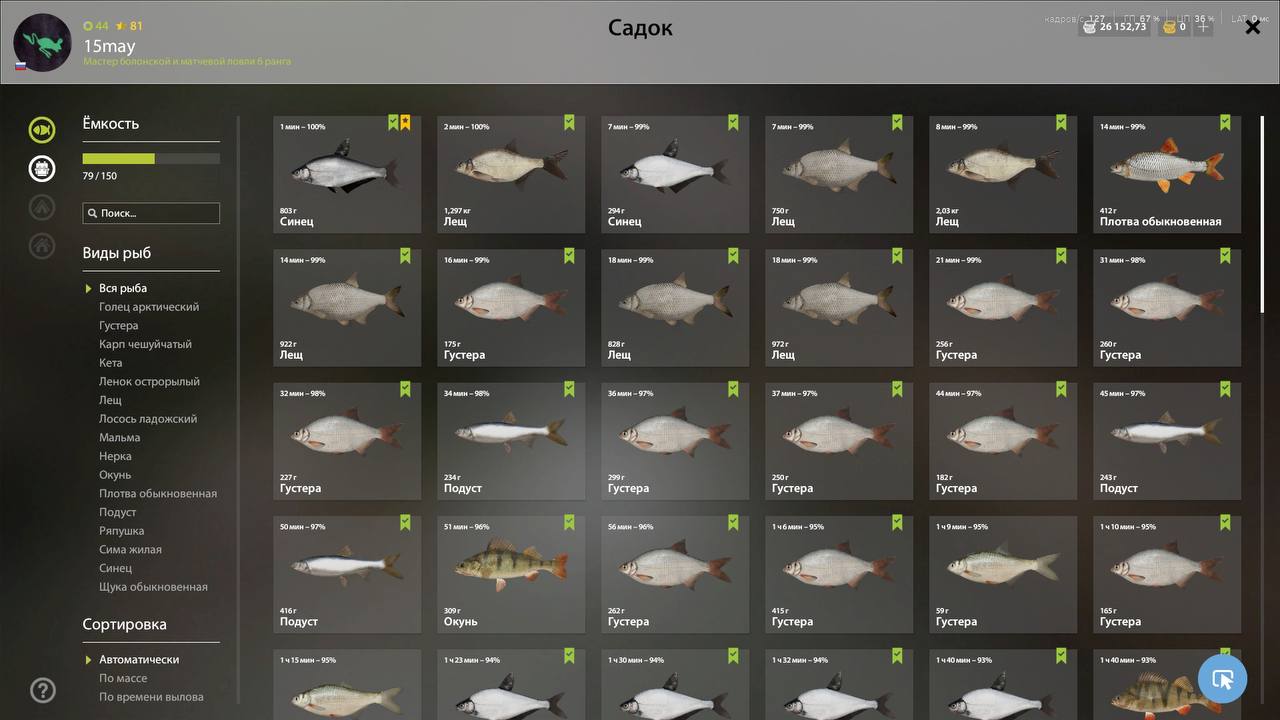 Река Волхов — Садок