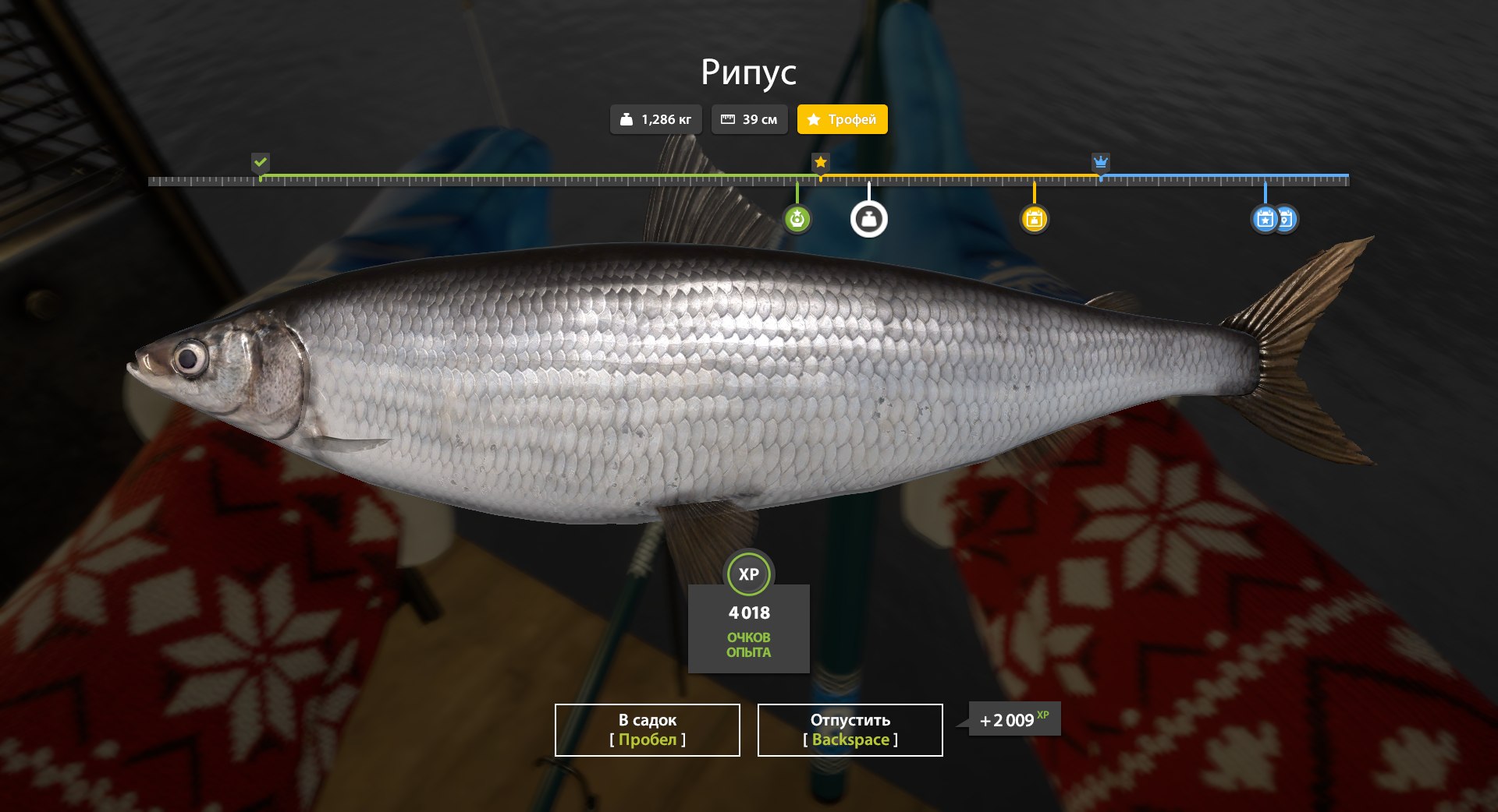 Трофей — Ладожское озеро