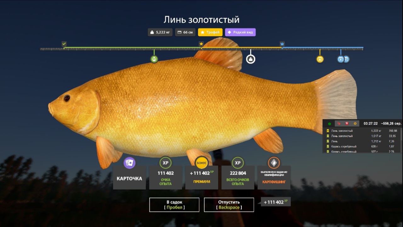 Bear Lake — Trophy