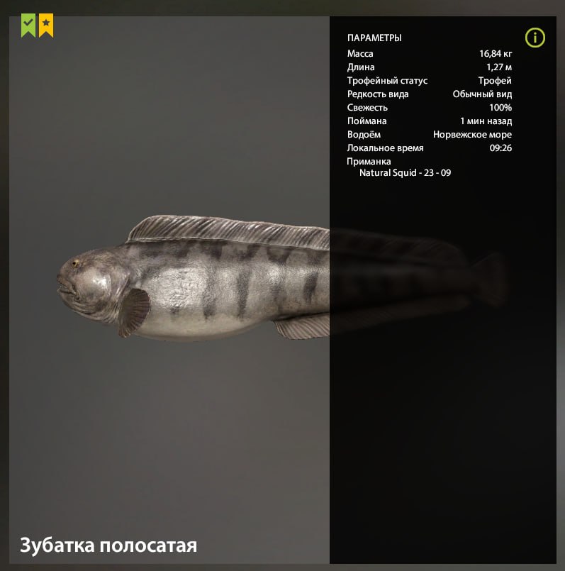 Норвежское море — Разное