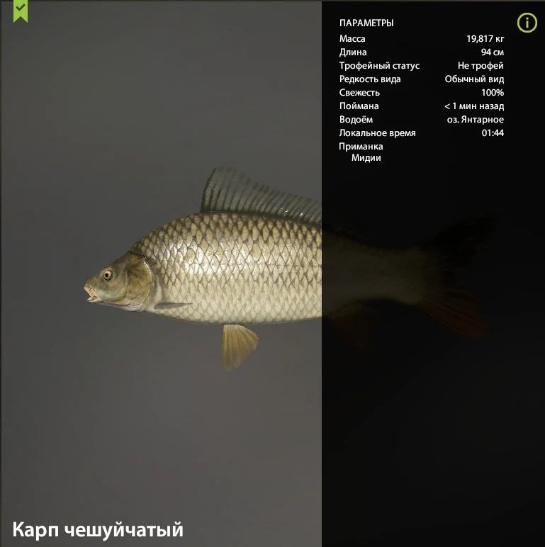 Miscellaneous — The Amber Lake