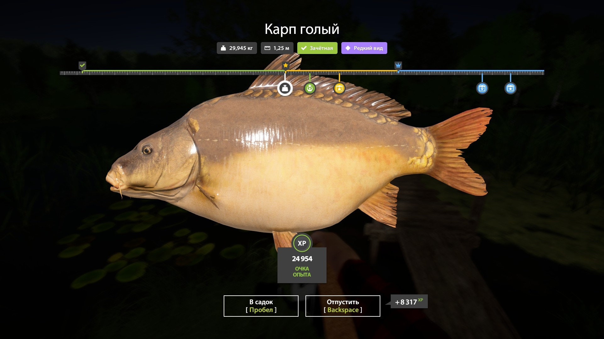 Miscellaneous — Copper Lake