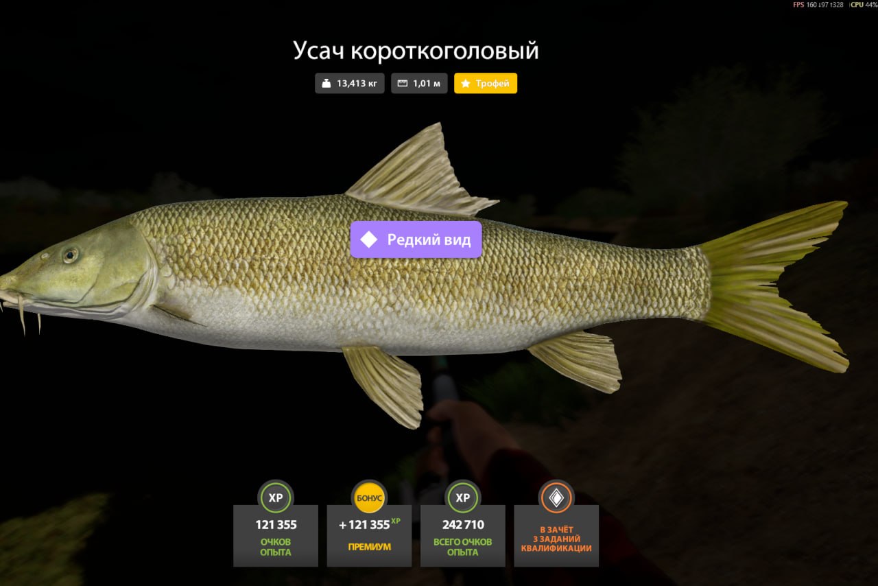 Akhtuba River — Trophy