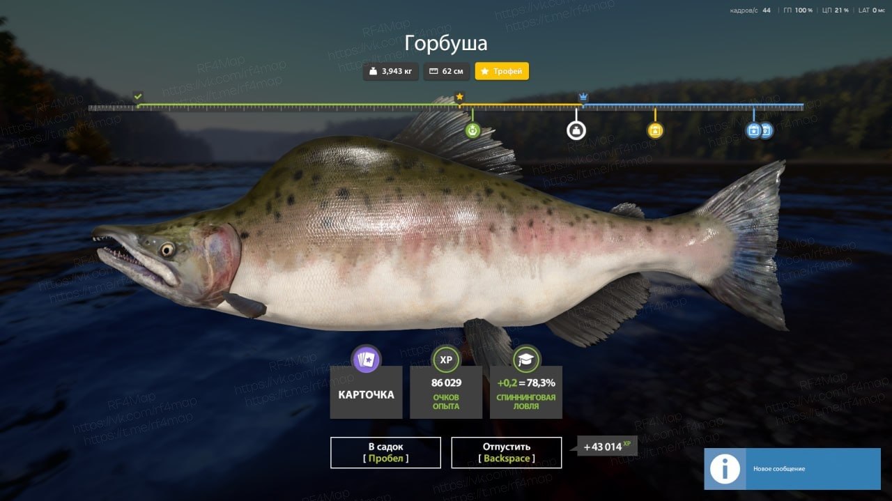 Lower Tunguska River — Trophy
