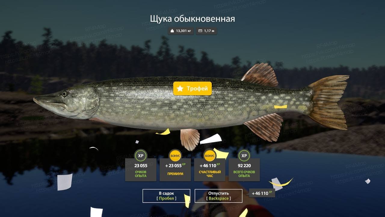 Ладожское озеро — Трофей