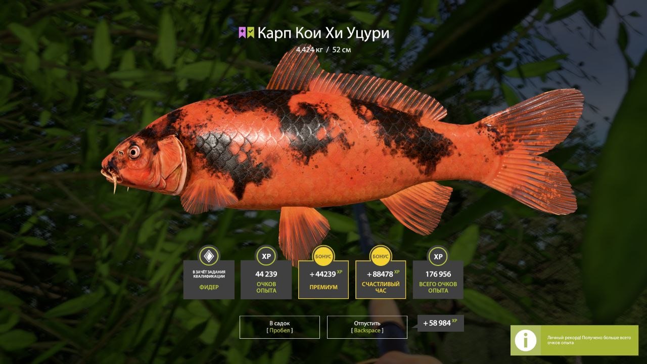 Озеро Медное — Разное