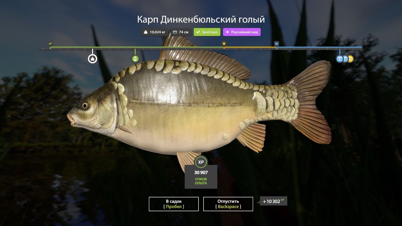 Озеро Медное — Разное