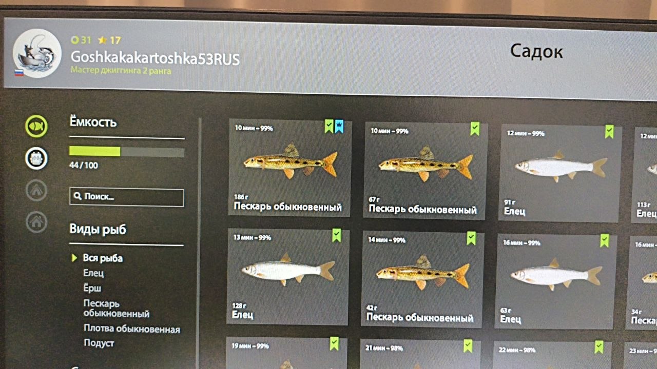 Садок — Река Вьюнок