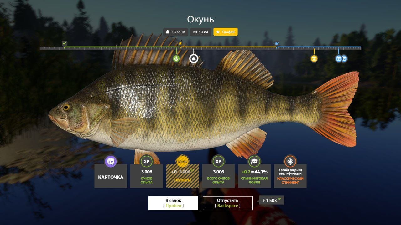 Old Burg Lake — Trophy