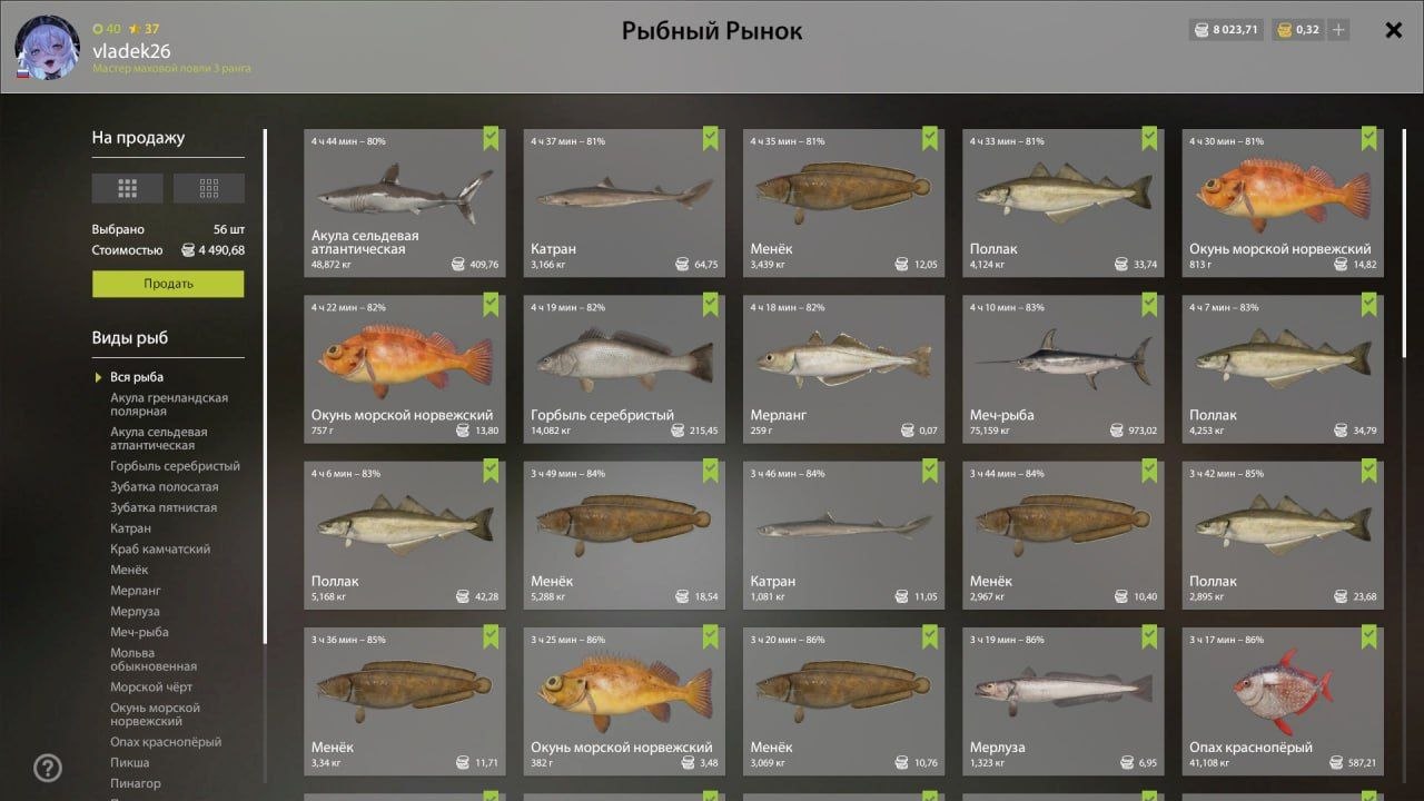 Садок — Норвежское море